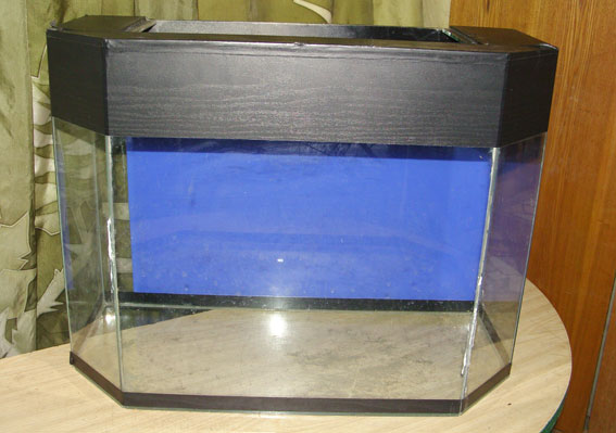 подаренный аквариум